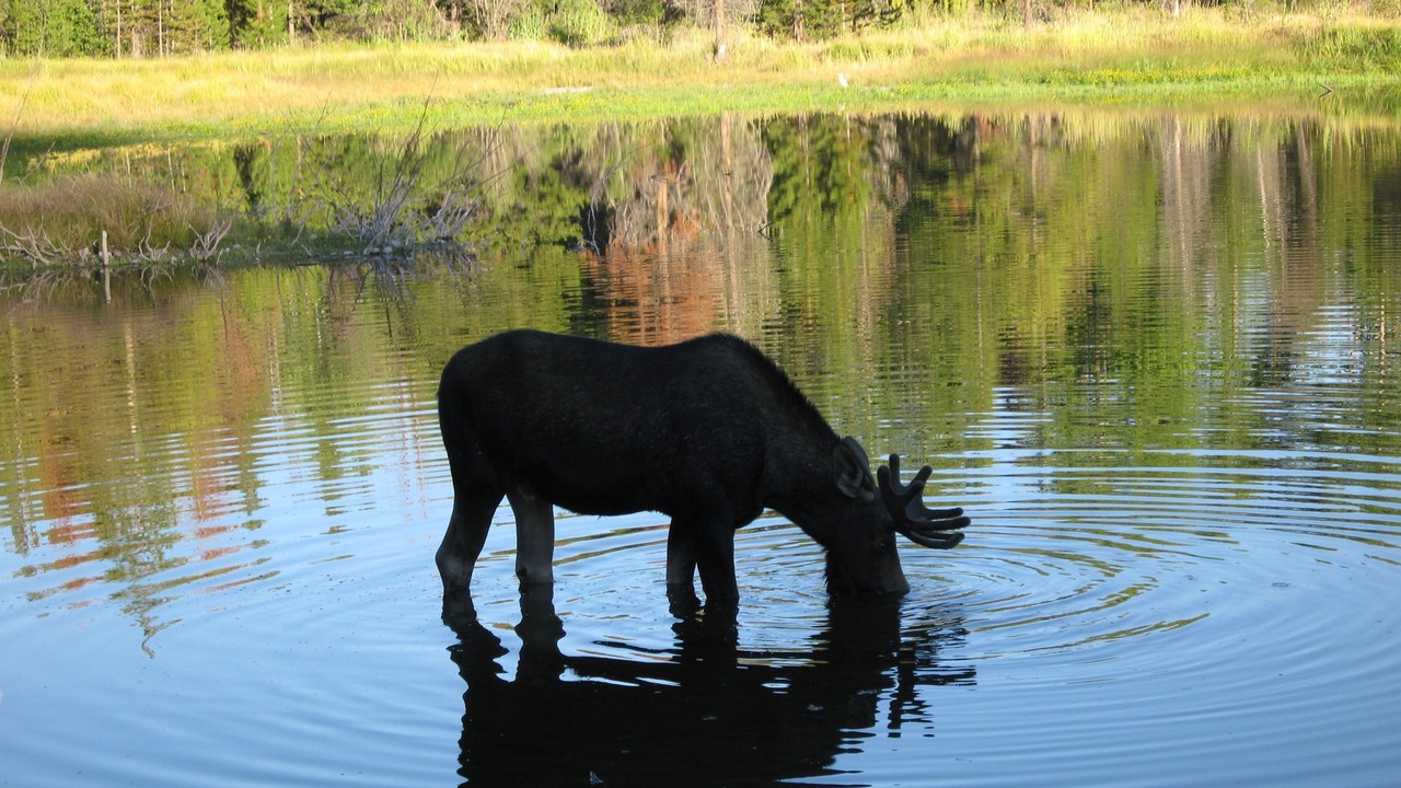 Photo of Outdoor in Moose Wilson Road