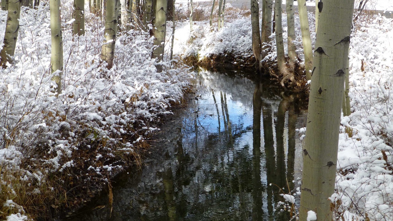 Photo of Others in Moose Wilson Road
