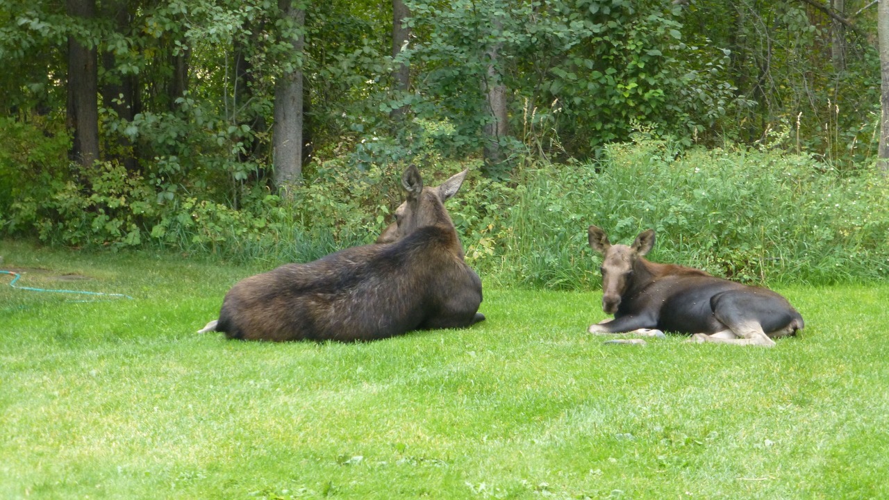 Photo of Outdoor in Moose Wilson Road