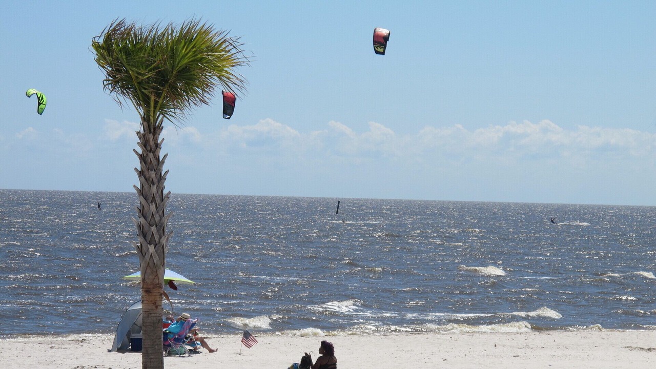 Photo of Others in Henderson Point