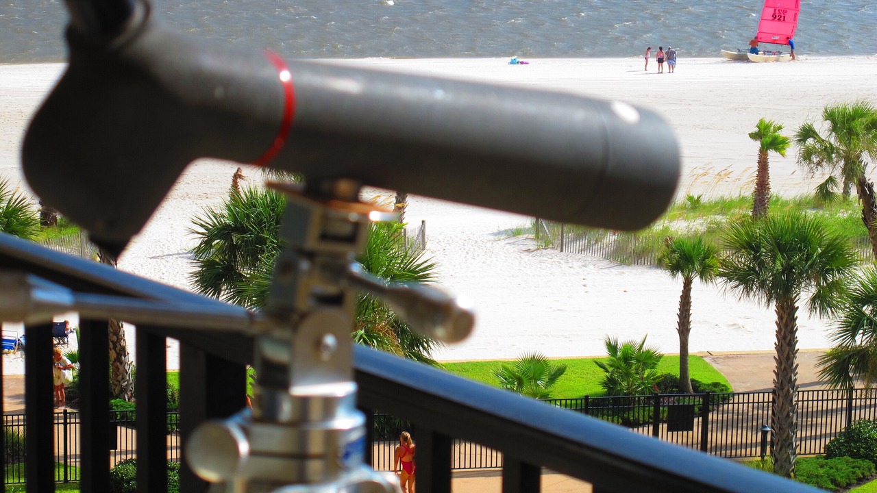Photo of Others in Henderson Point