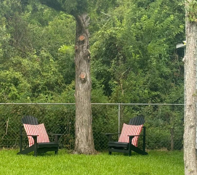 Photo of Others in Clute