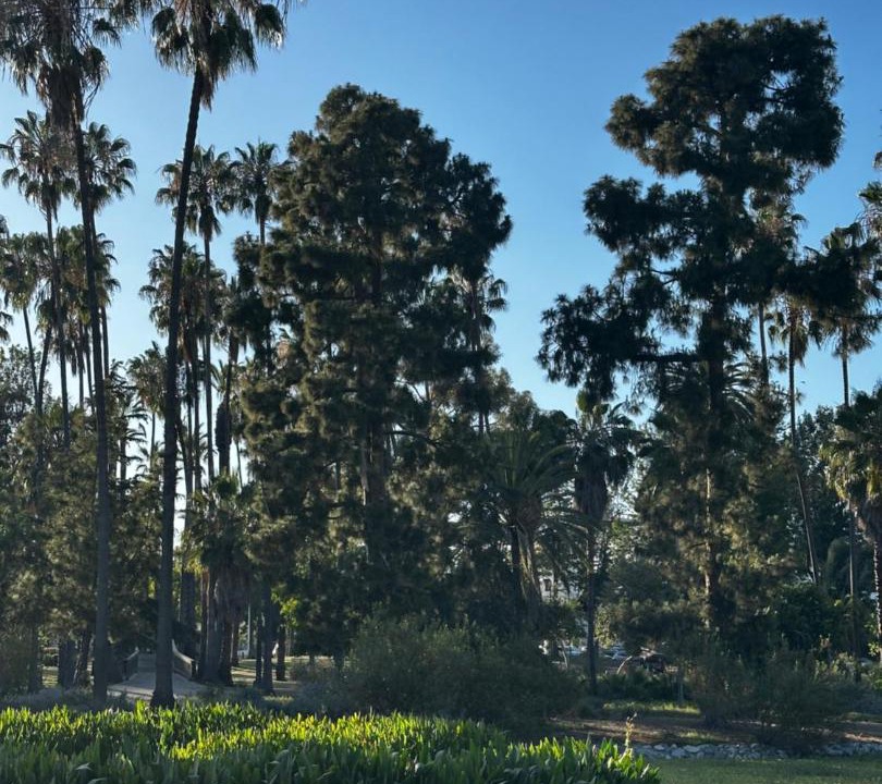 Photo of Others in Angelino Heights