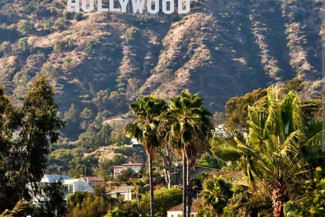 Photo of Others in Hollywood
