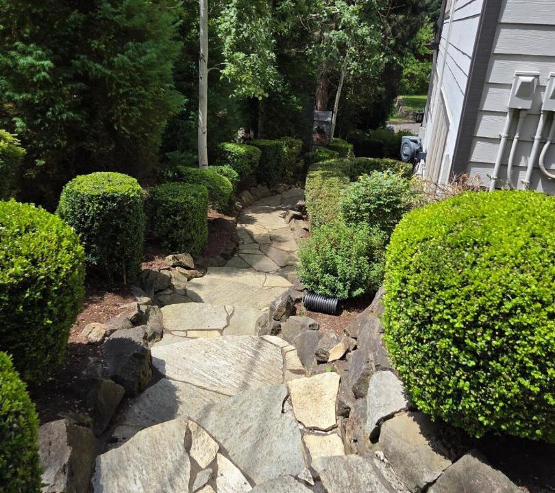 Photo of Outdoor in Sunnyside