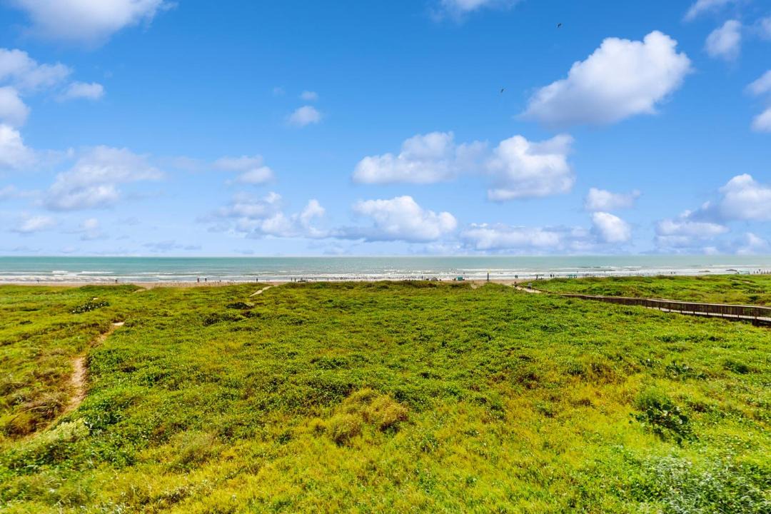 Photo of Others in South Padre Island