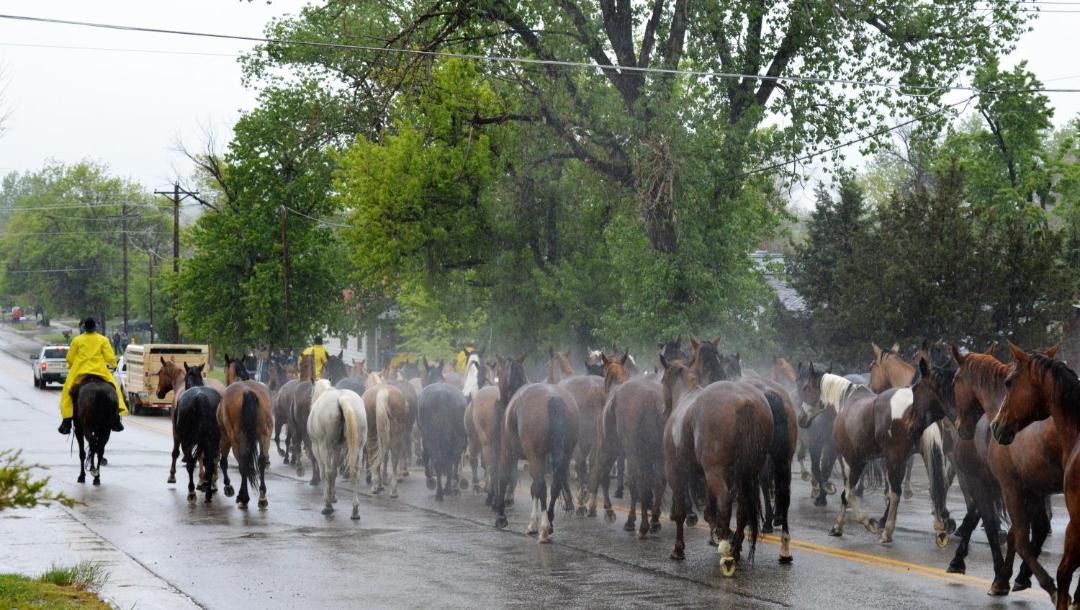 Photo of Others in Sheridan