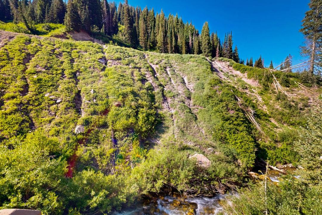 Photo of Others in Salt Lake Mountain Resorts