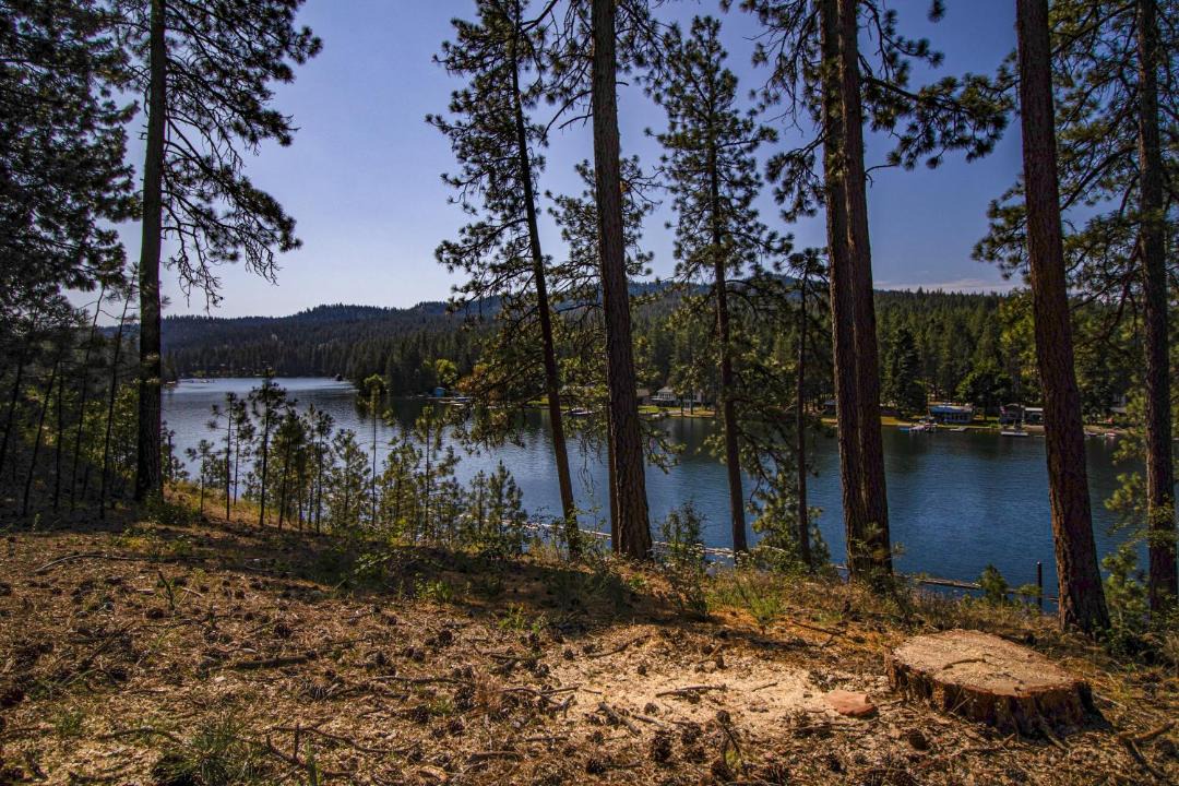 Photo of Others in Post Falls