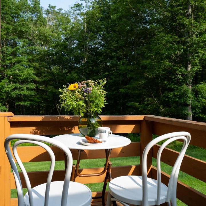 Photo of Patio Balcony in Livingston Manor