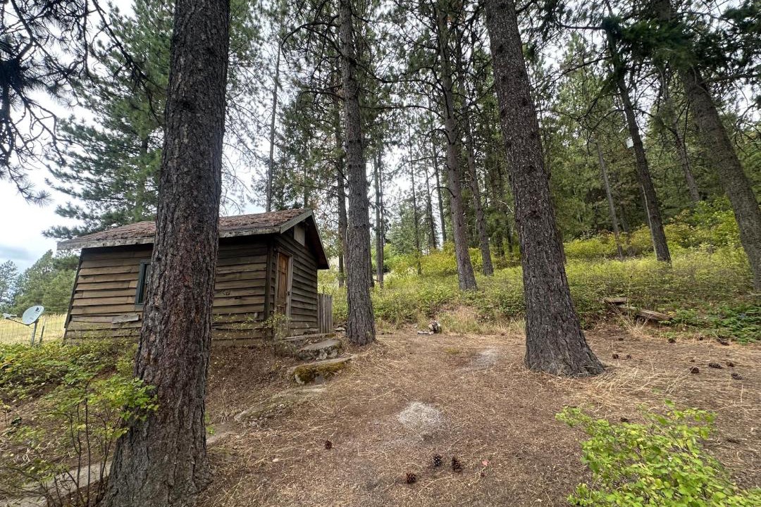 Photo of Others in Coeur d'Alene