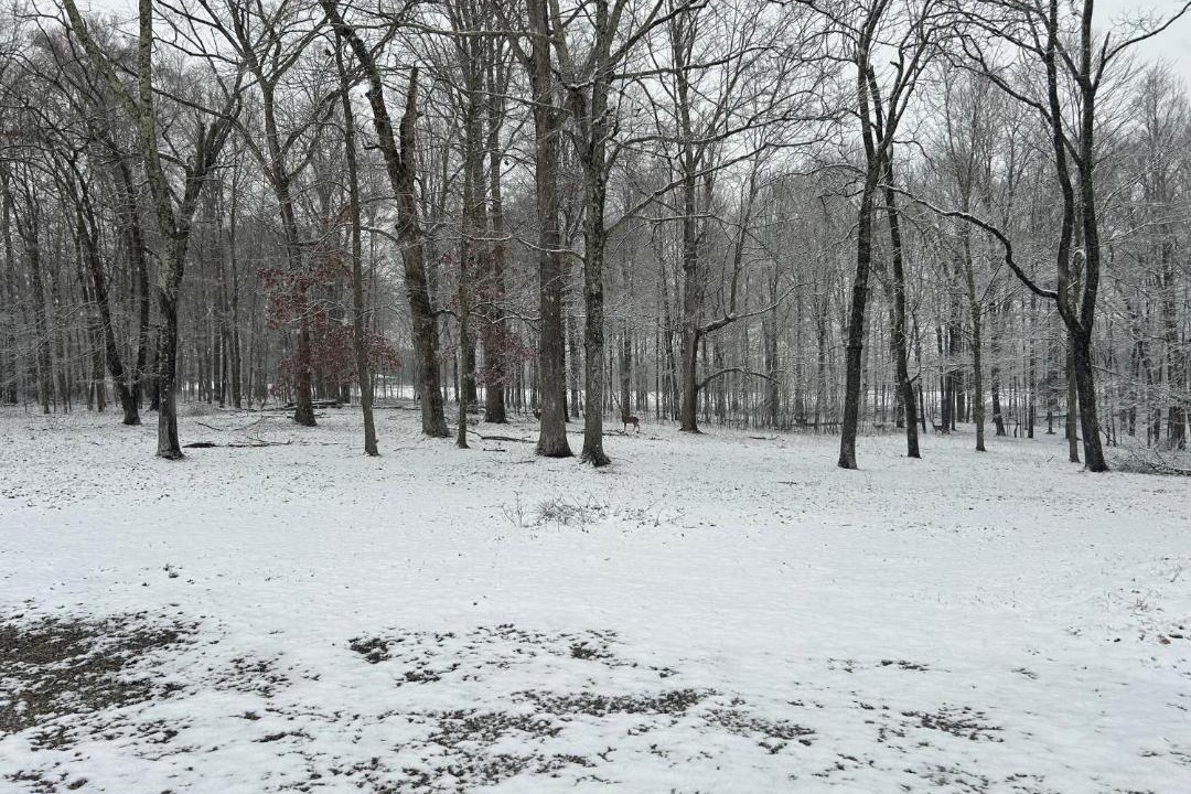 Photo of Others in Sharpsburg