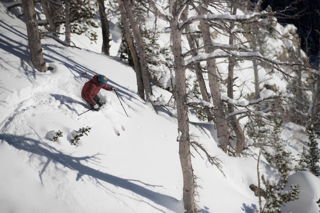 Photo of Others in Alpine Northeast