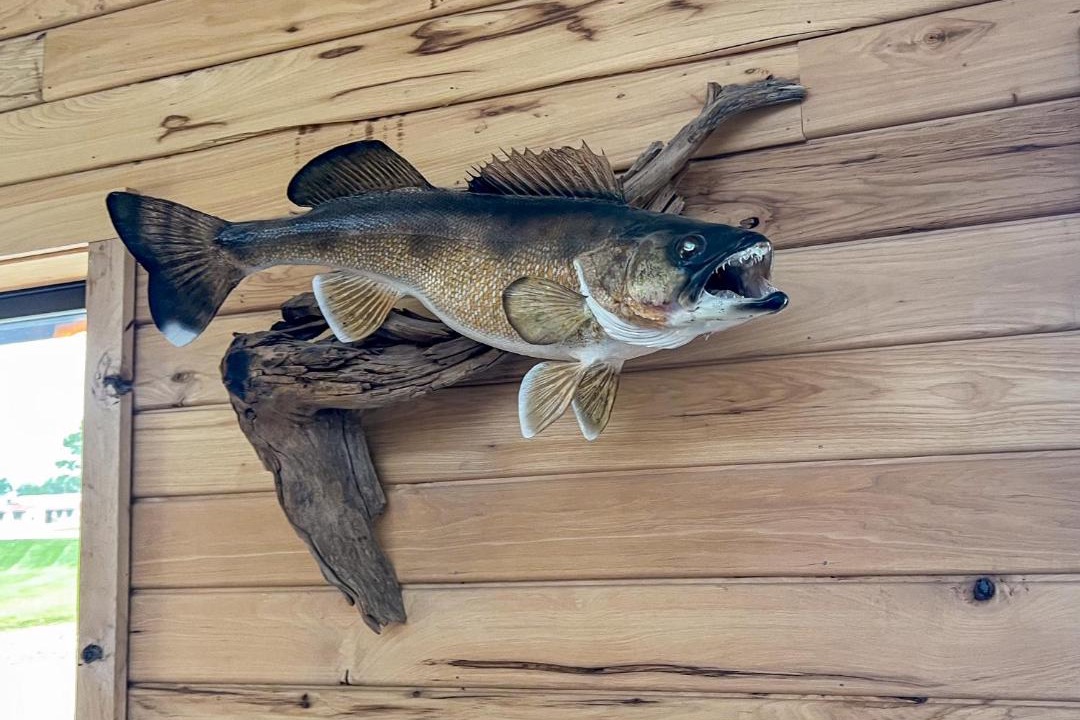 Photo of Others in Baudette