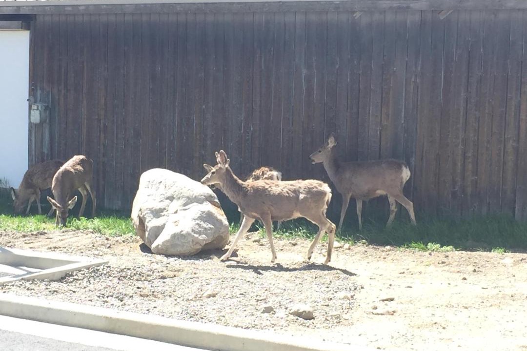 Photo of Others in Gardiner
