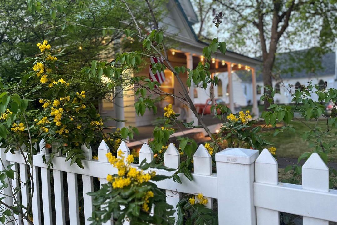 Photo of Others in Garden District