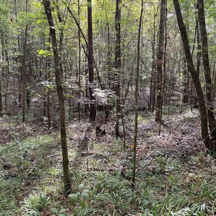 Photo of Others in Wesson