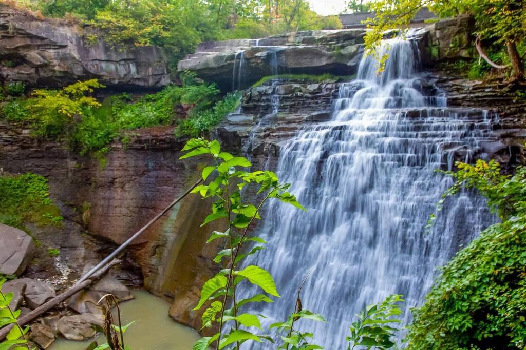 Photo of Others in Brecksville