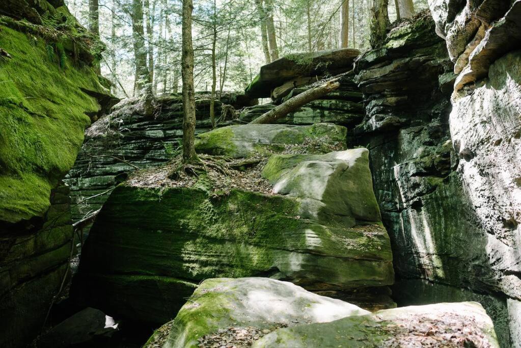 Photo of Others in Brecksville