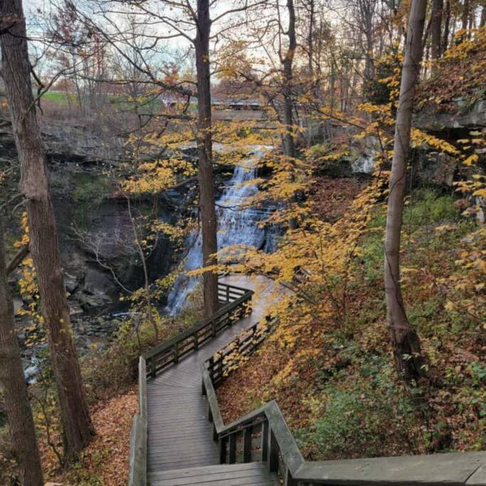 Photo of Others in Brecksville