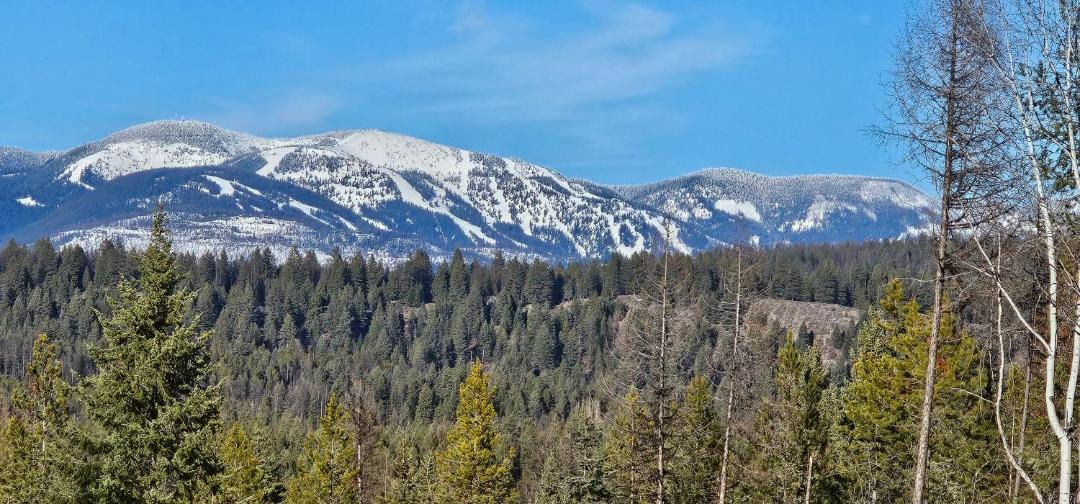 Photo of Others in Whitefish