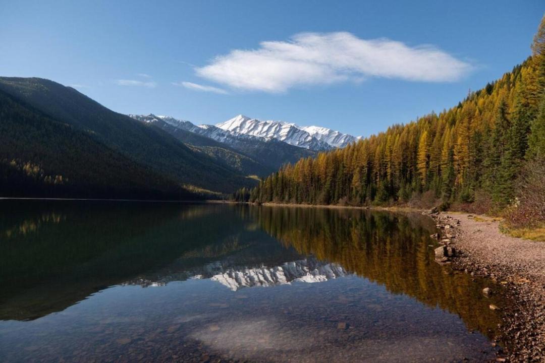 Photo of Others in West Glacier