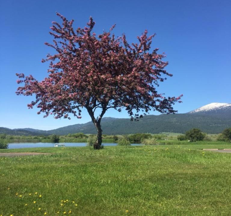 Photo of Outdoor in New Meadows