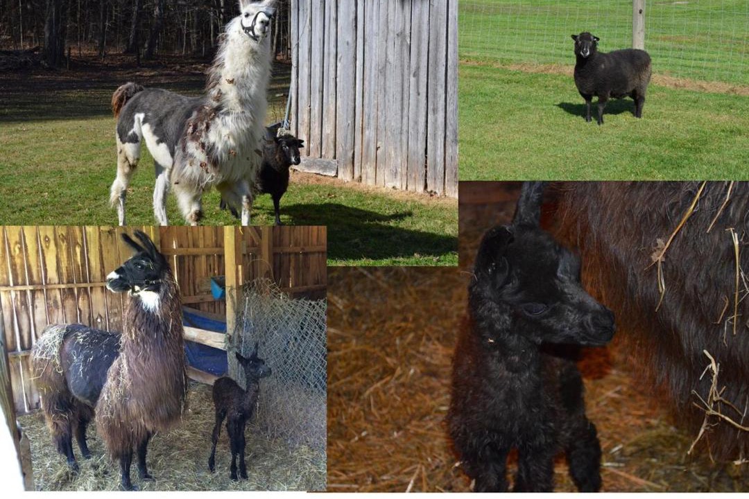 Photo of Others in Perrysville