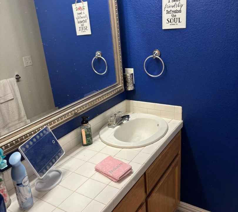 Photo of Bathroom in Mena
