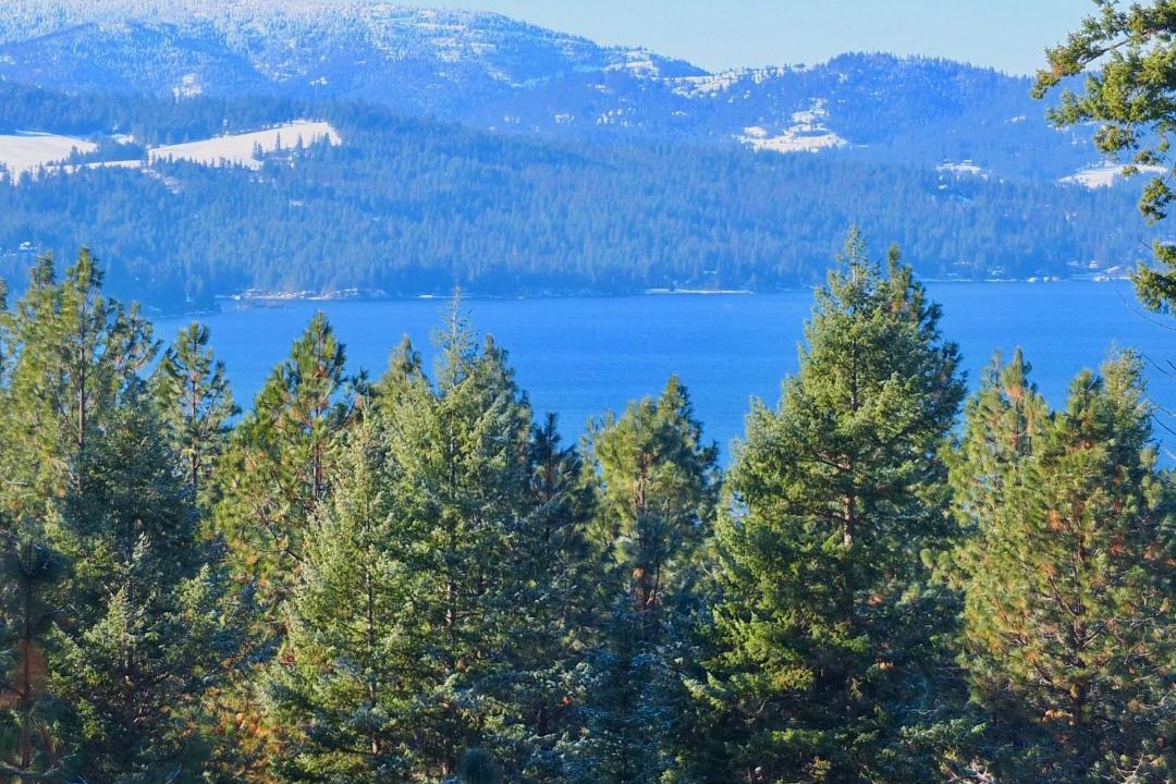 Photo of Others in Coeur d'Alene