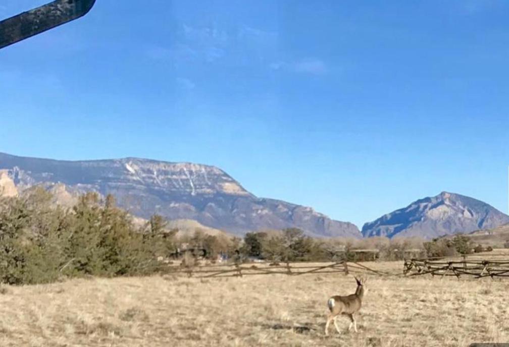 Photo of Others in Cody