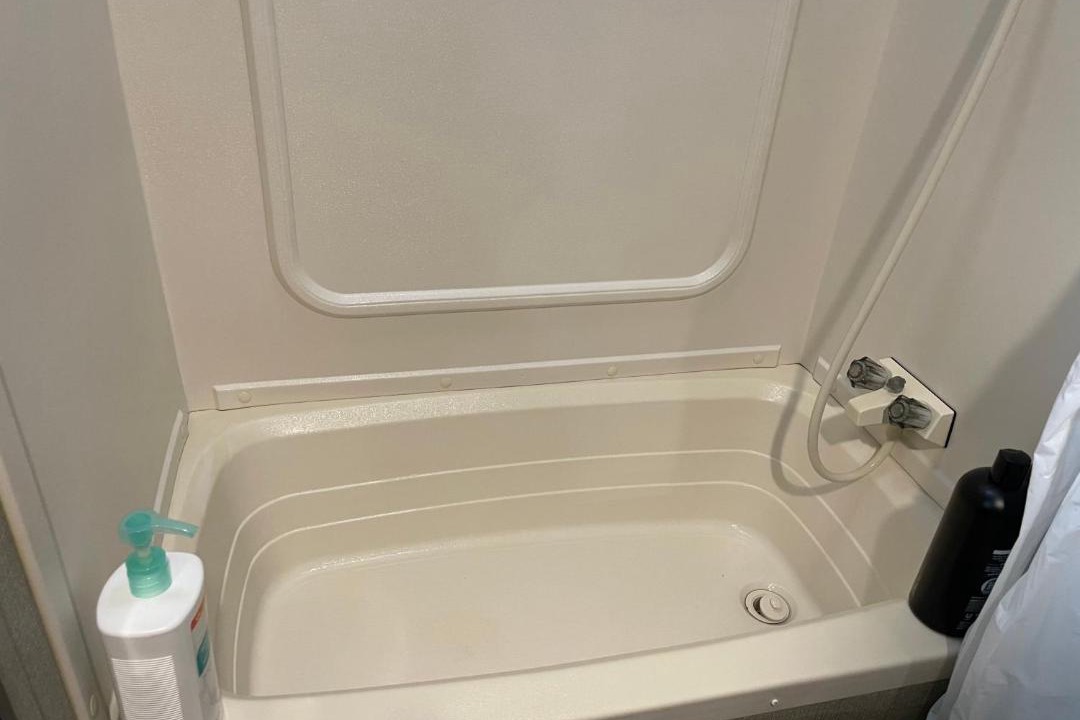 Photo of Others in Bear