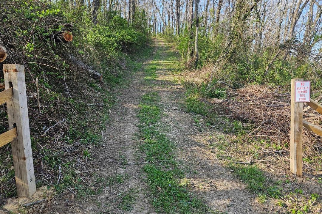 Photo of Others in Logan