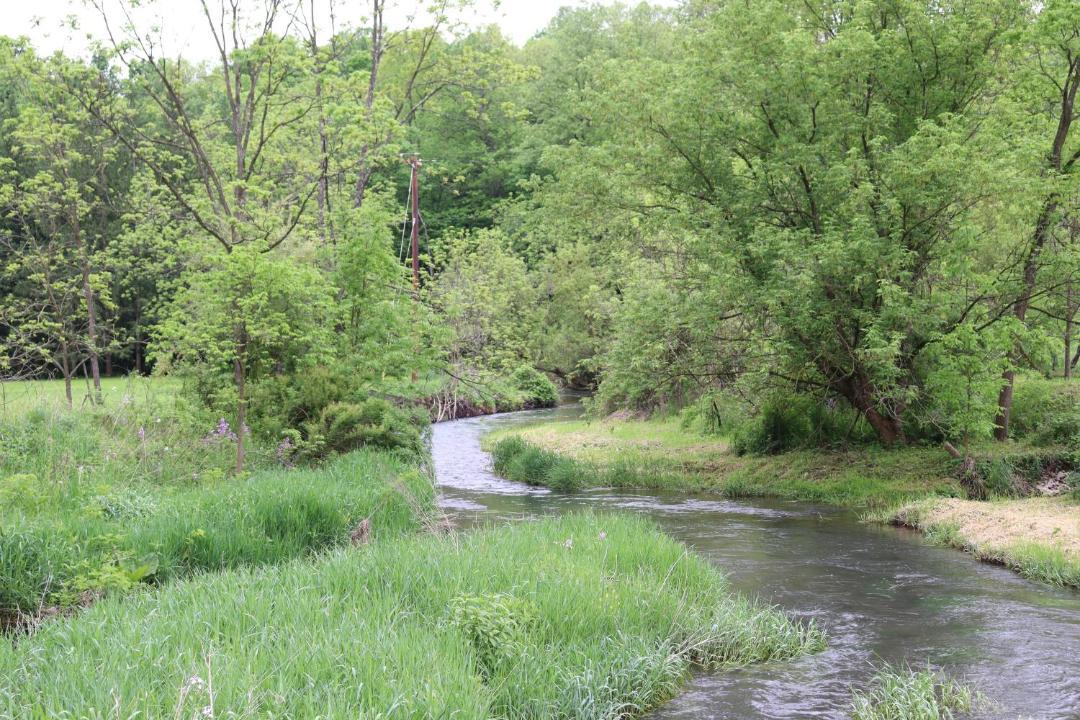 Photo of Others in Spring Mills