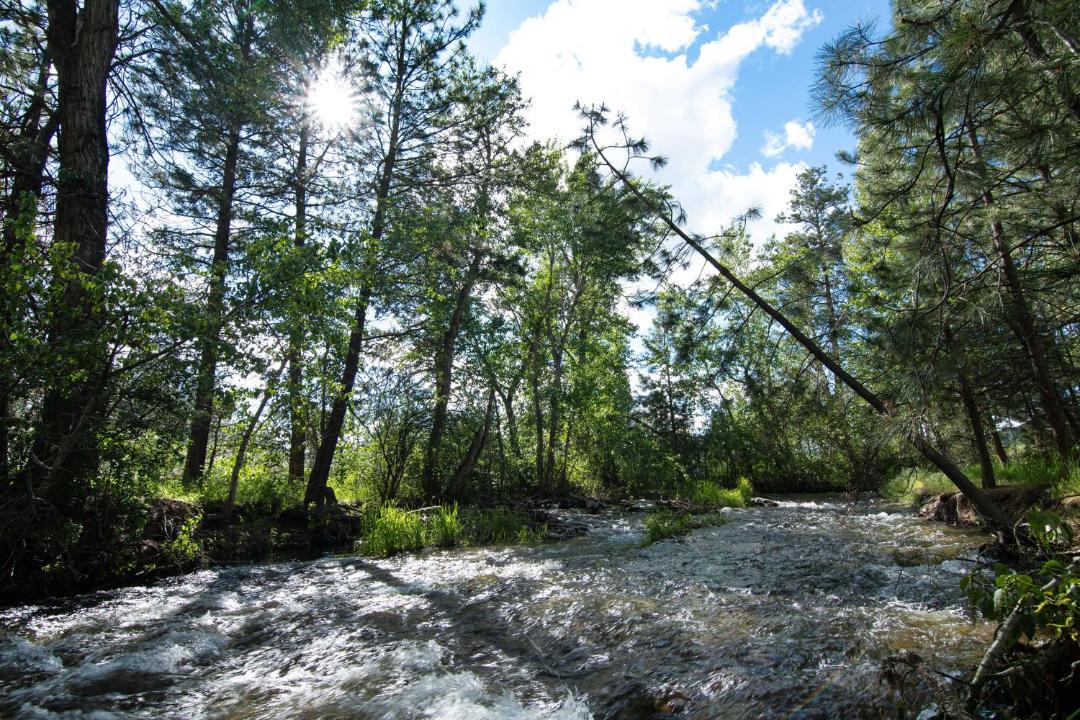 Photo of Others in Grant Creek