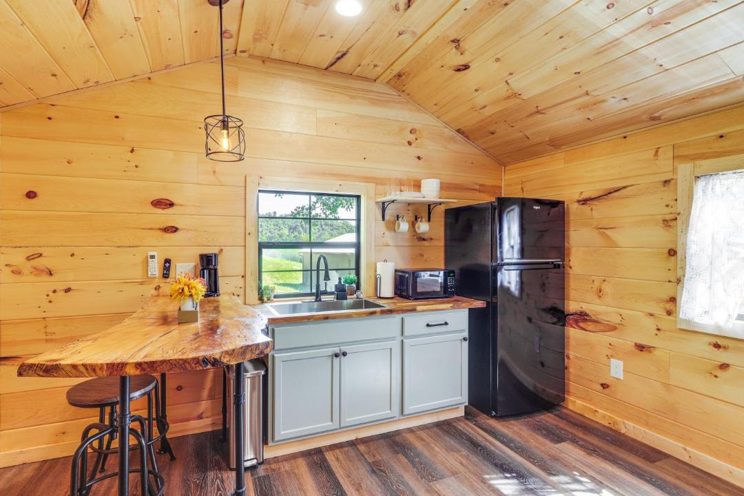 Photo of Kitchen in Lynx