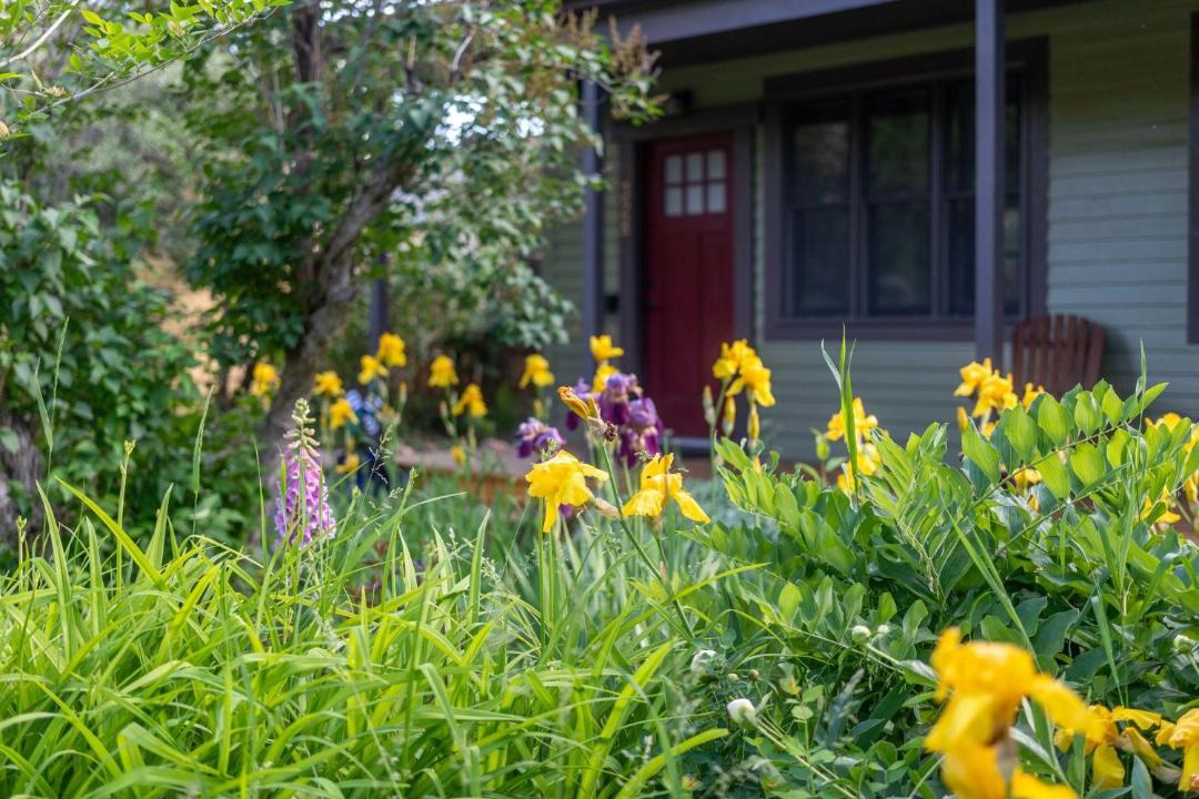 Photo of Outdoor in Livingston