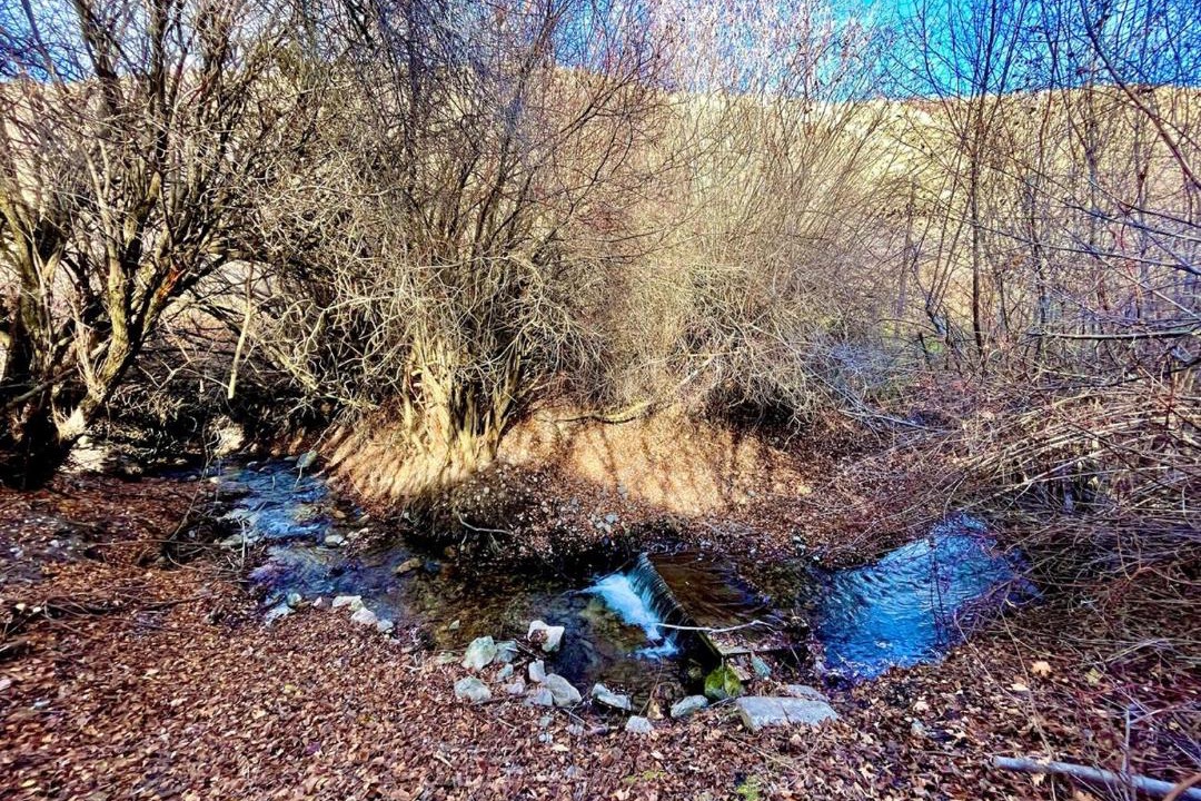 Photo of Others in McCammon