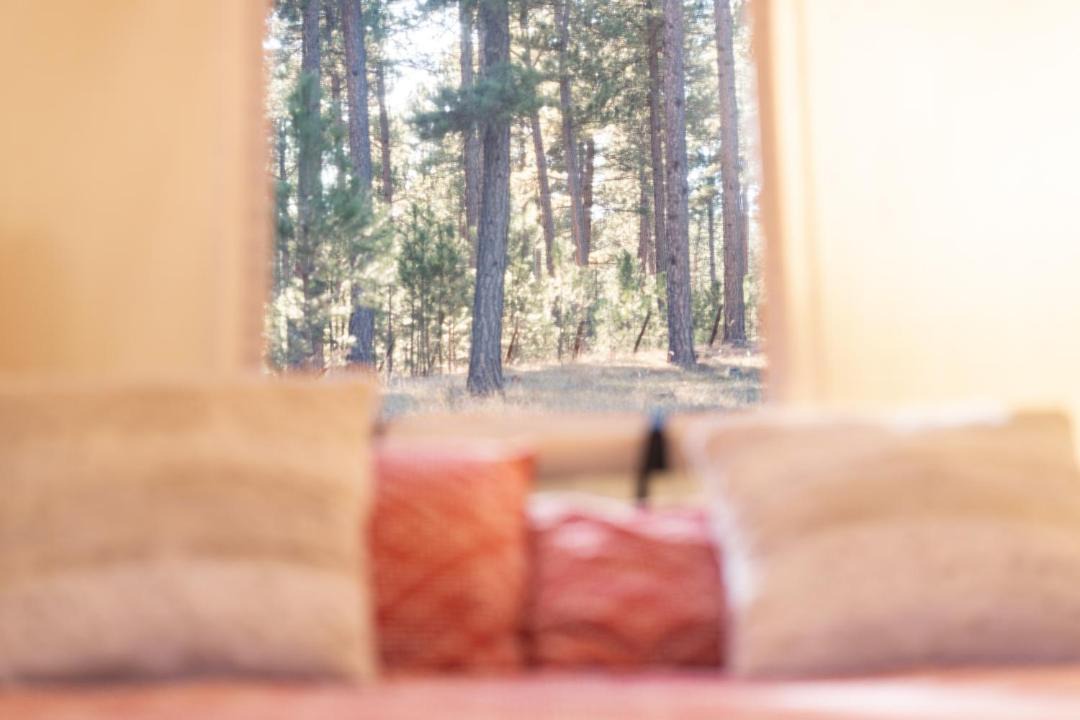 Photo of Bedroom in Custer