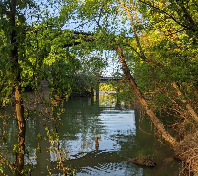Photo of Outdoor in Lookout Valley Neighborhood Association