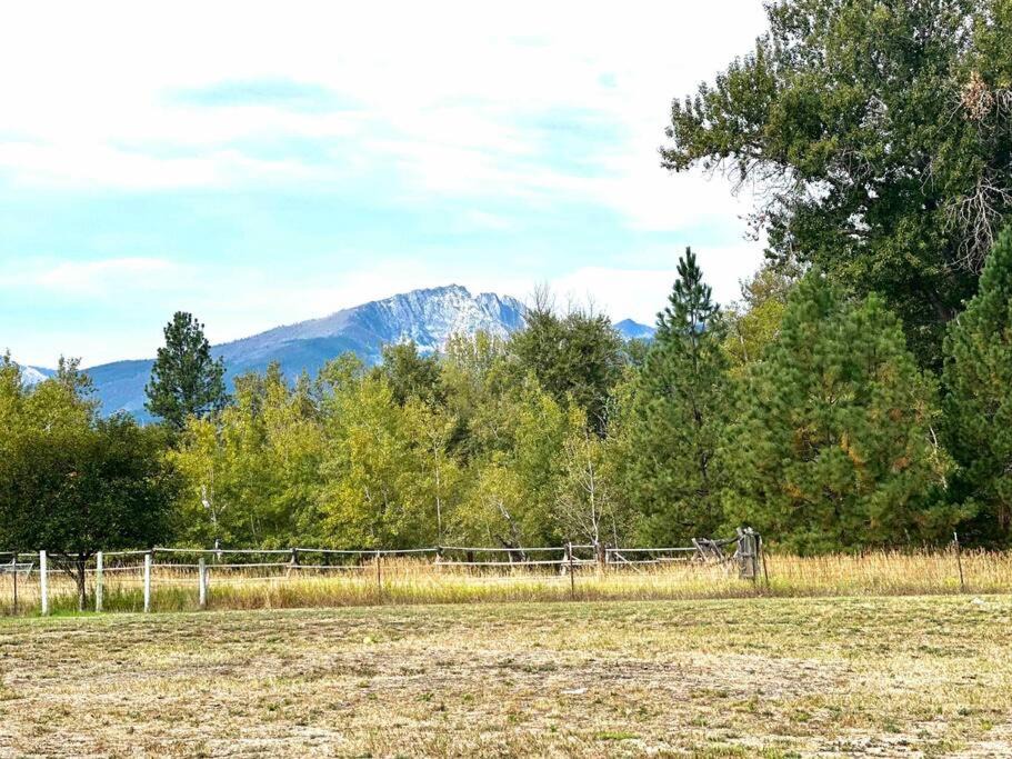 Photo of Outdoor in Stevensville
