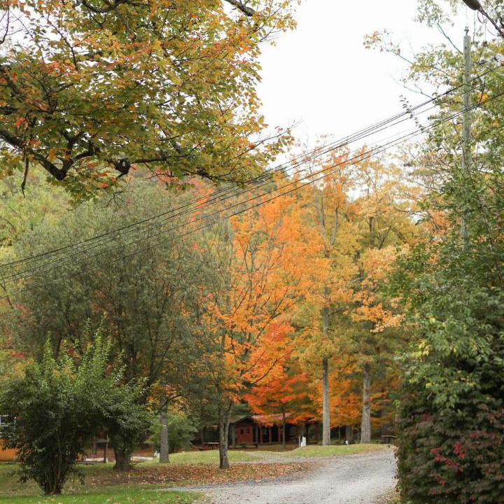 Photo of Others in Mingoville