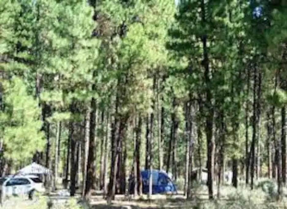 Photo of Others in Hillcrest
