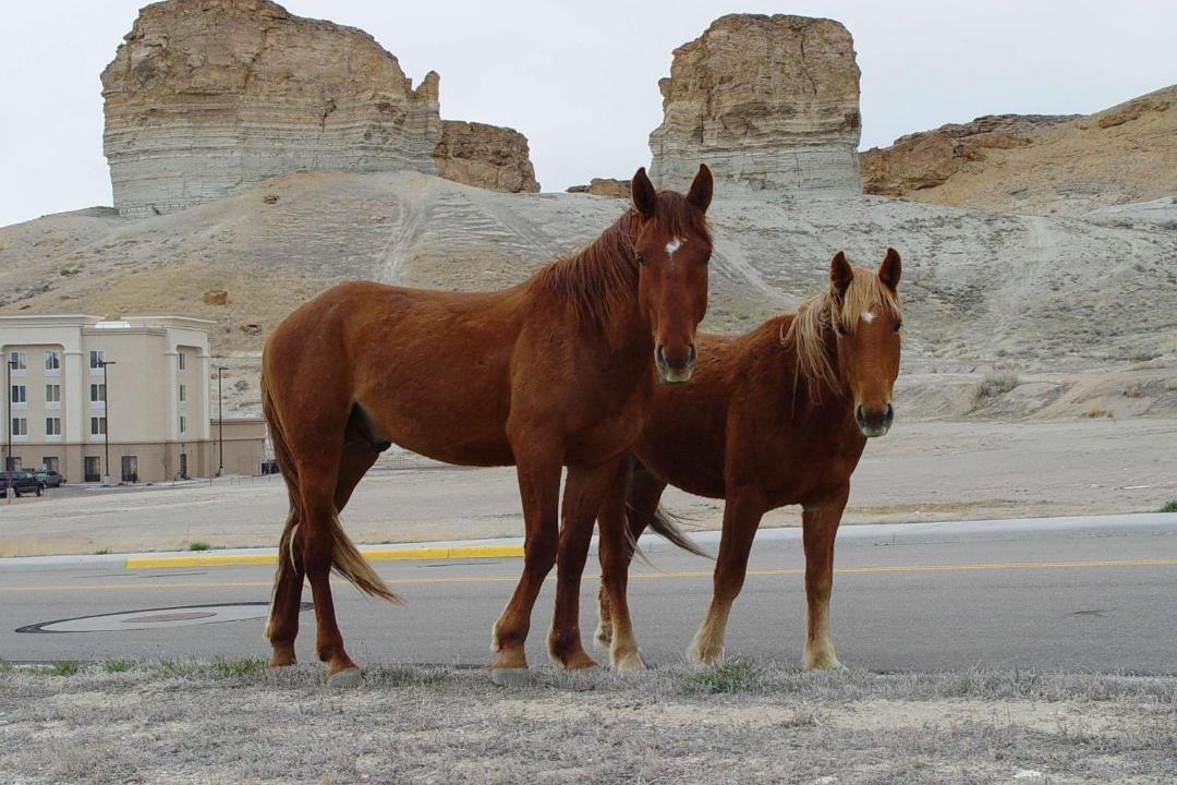 Photo of Others in Green River