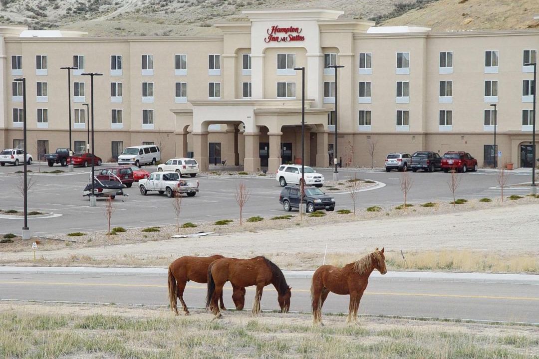 Photo of Others in Green River