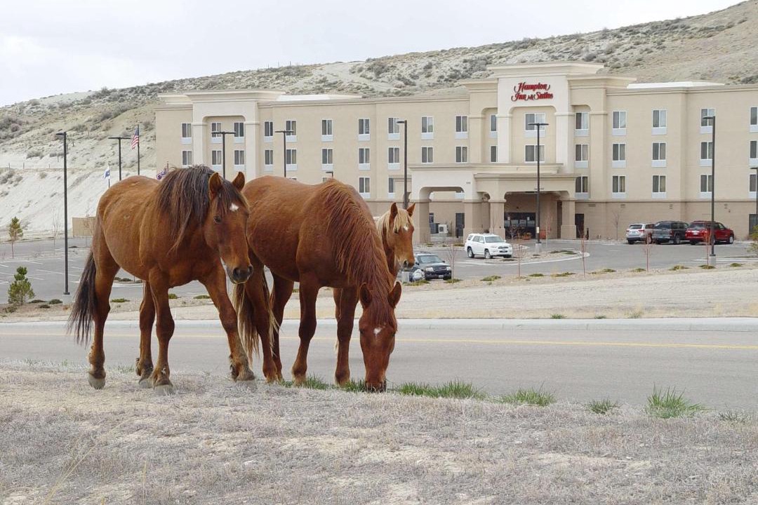 Photo of Others in Green River