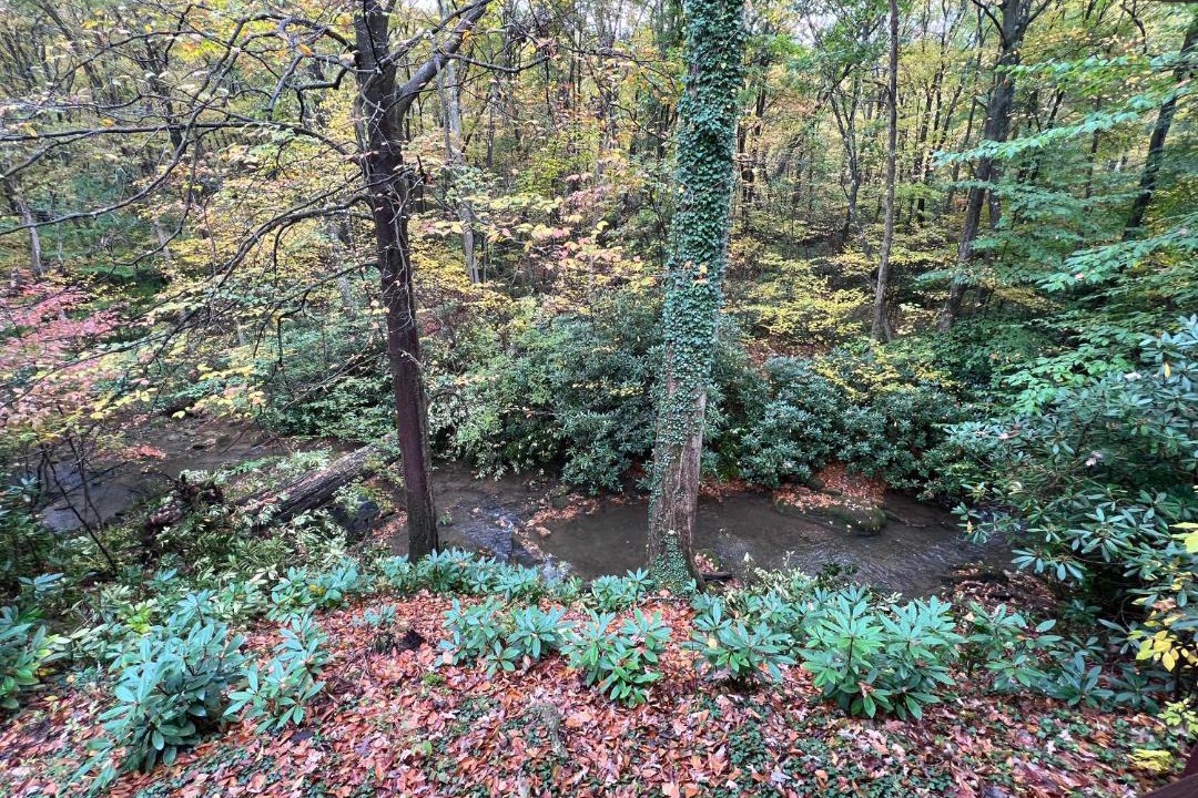Photo of Others in Confluence