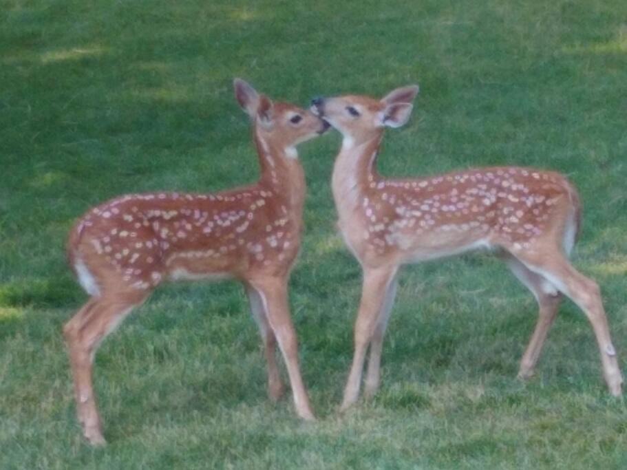 Photo of Others in Seeley Lake