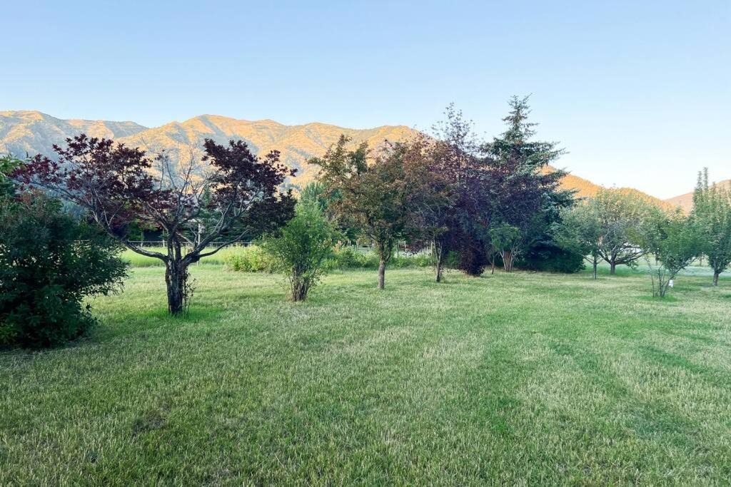 Photo of Others in Alpine Northwest