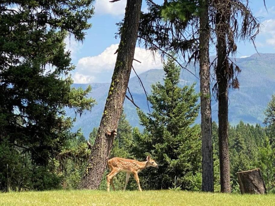 Photo of Others in Seeley Lake